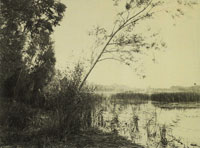 Eugène Cuvelier Marsh at Fampoux