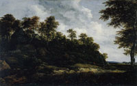 Jacob van Ruisdael Hilly Landscape with a Low Waterfall