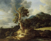 Jacob van Ruisdael Mountainous Landscape with a Blasted Oak Tree and a Grainfield