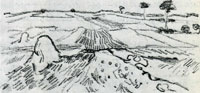 Vincent van Gogh Wheat Fields