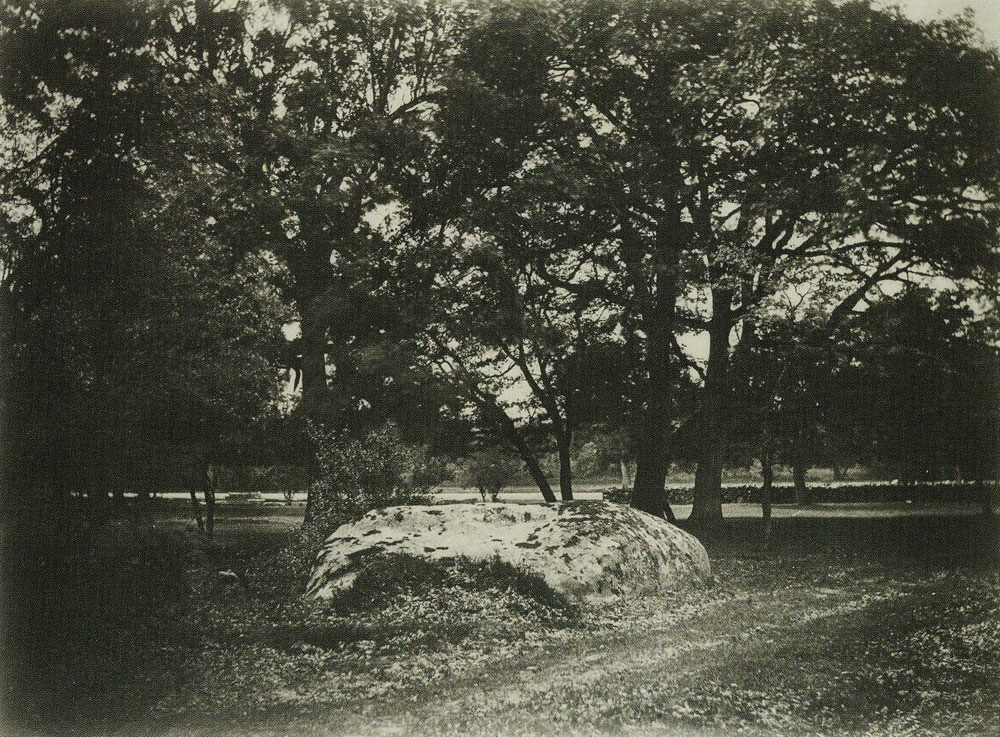 Gustave Le Gray - Road Past a Boulder, Forest of Fontainebleau
