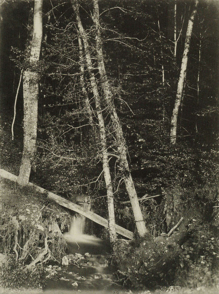 Henri Le Secq - Forest Brook