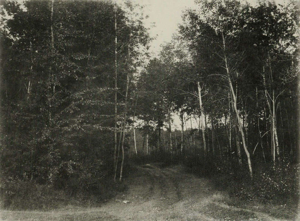 Henri Le Secq - Path in a Birch Wood