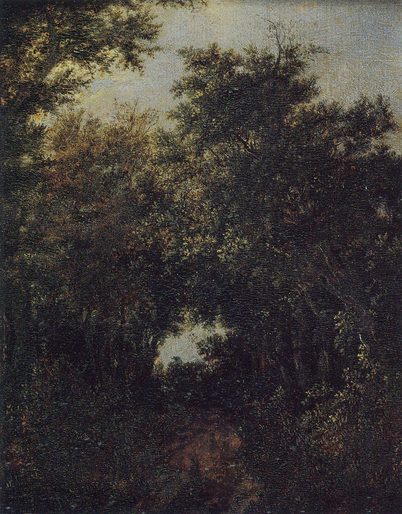 Jacob van Ruisdael - Path in the Woods