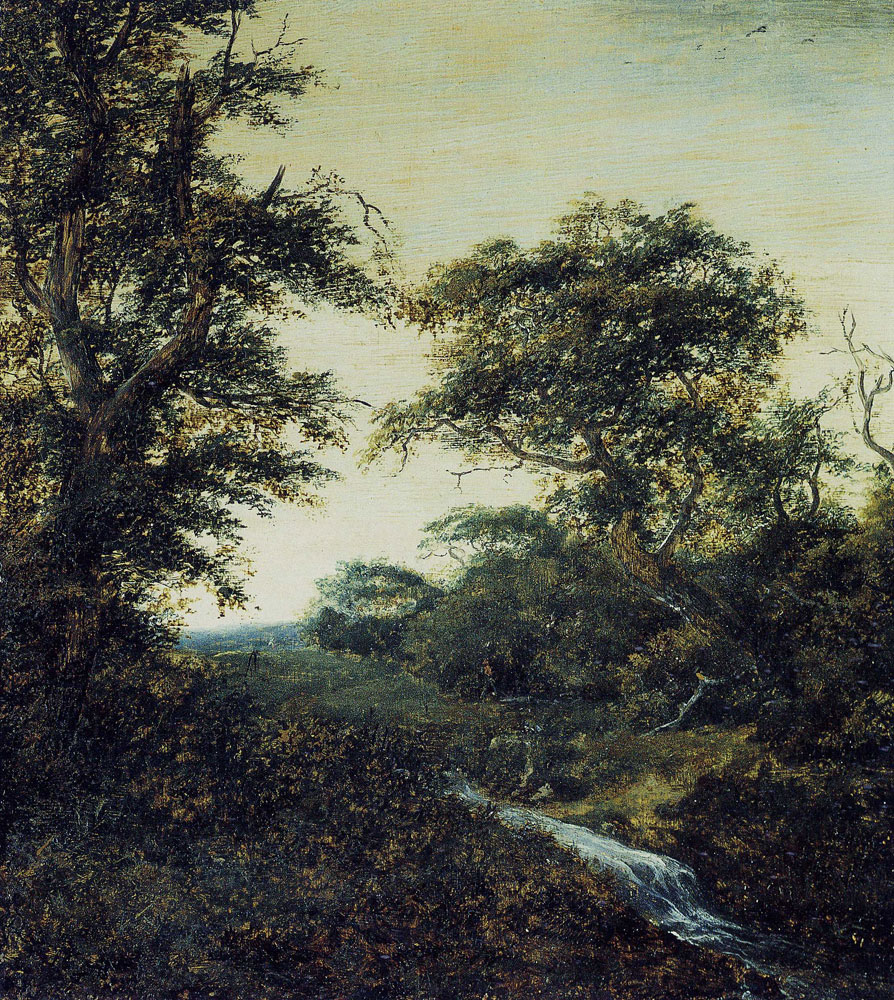 Jacob van Ruisdael - Wooded Landscape with a Small Waterfall