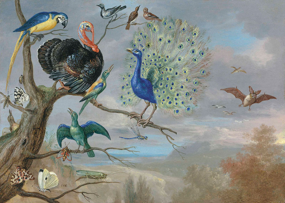 Jan van Kessel the Elder - Allegory of air