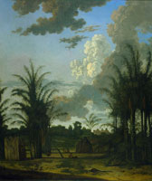 Dirk Valkenburg Plantation in Suriname