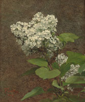 Henri Fantin-Latour White Lilacs  