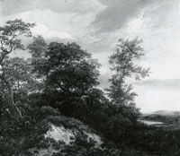 Jacob van Ruisdael Wooded Dunescape