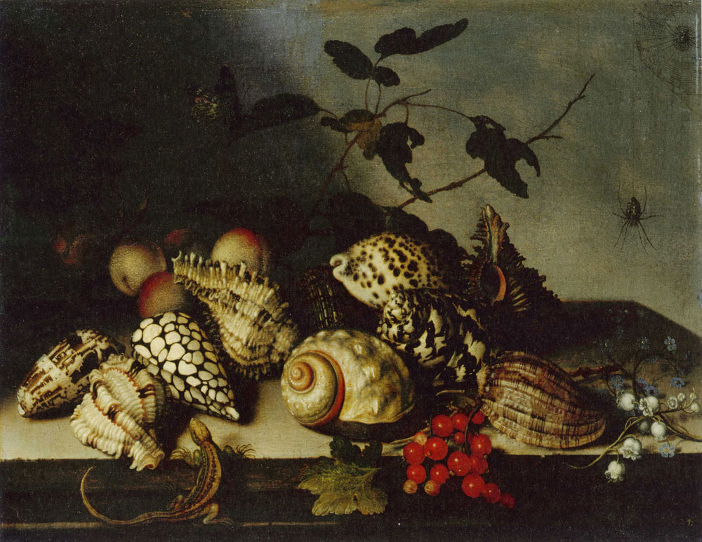 Balthasar van der Ast - Still Life with Shells and Fruit
