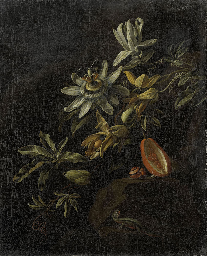 Elias van den Broeck - Still Life with Passionflowers