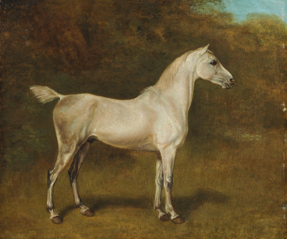 Jacques-Laurent Agasse - An Arab stallion in a field