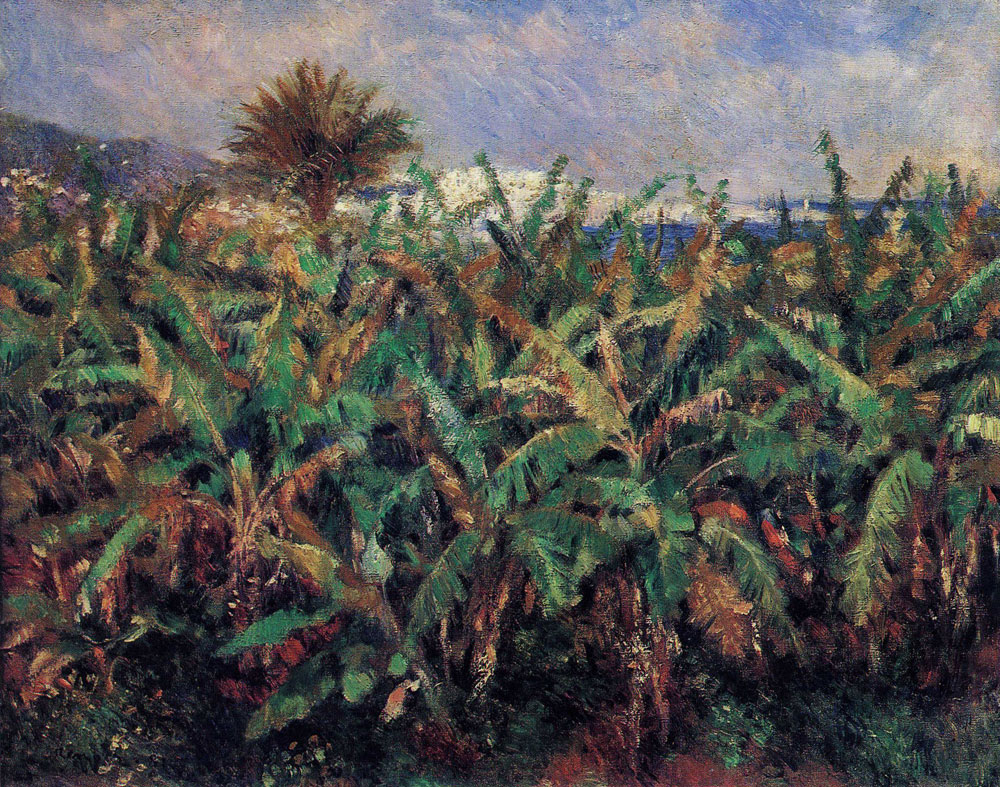Pierre-Auguste Renoir - Field of Banana Trees