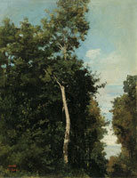 Jean-Baptiste-Camille Corot Honfleur: Wood on the Côte de Grâce