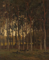 Théophile de Bock View in the Woods