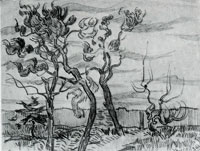 Vincent van Gogh Pine Trees in Front of the Wall of the Asylum