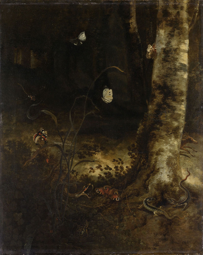 Otto Marseus van Schrieck - Forest Floor with a Snake, Lizards, Butterflies and other Insects