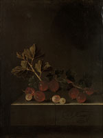 Adriaen Coorte A Sprig of Gooseberries on a Stone Plinth