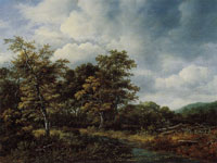 Jacob van Ruisdael Wooded Landscape with a Swamp