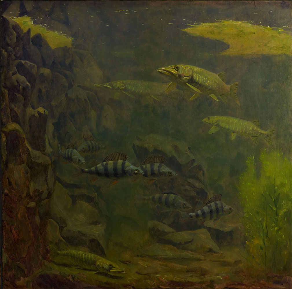 Gerrit Willem Dijsselhof - Pike and Perch in an Aquaruim