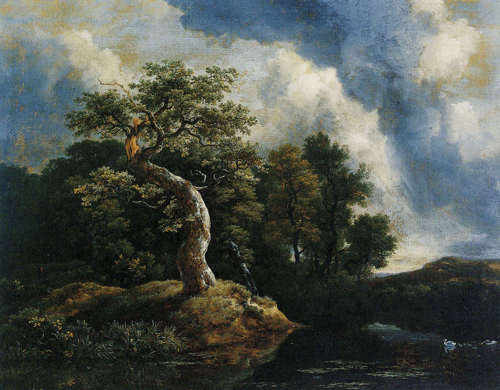 Jacob van Ruisdael - The Gnarled Oak