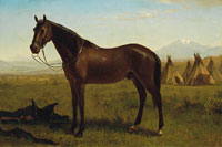 Albert Bierstadt Horse in an Indian Encampment  