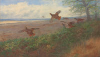 Archibald Thorburn Partridges in flight