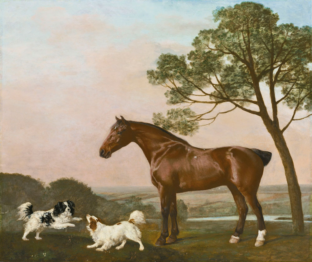 George Stubbs - A bay hunter with two playful spaniels
