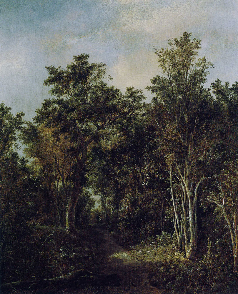 Jacob van Ruisdael - Path in a Woods