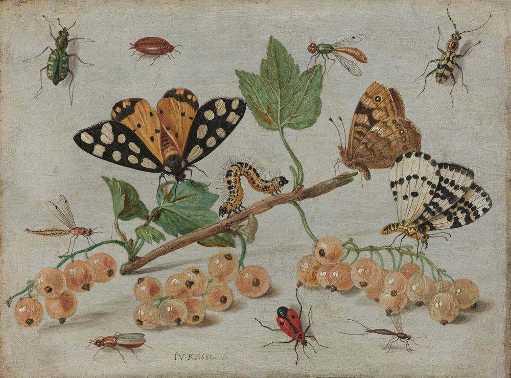 Jan van Kessel - Insects and Fruit