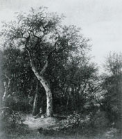 Jacob van Ruisdael Wood with a Sunlit Path
