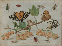 Jan van Kessel Insects and Fruit