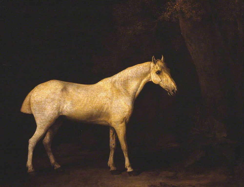George Stubbs - Horse in the Shade of a Wood