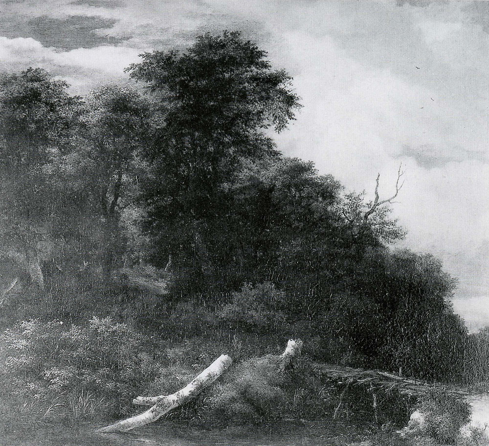 Jacob van Ruisdael - Woods with a Fallen Beech