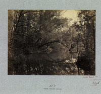 Achille Quinet Nature Study (River Scene)