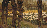 Anton L. Koster - Tulip Fields