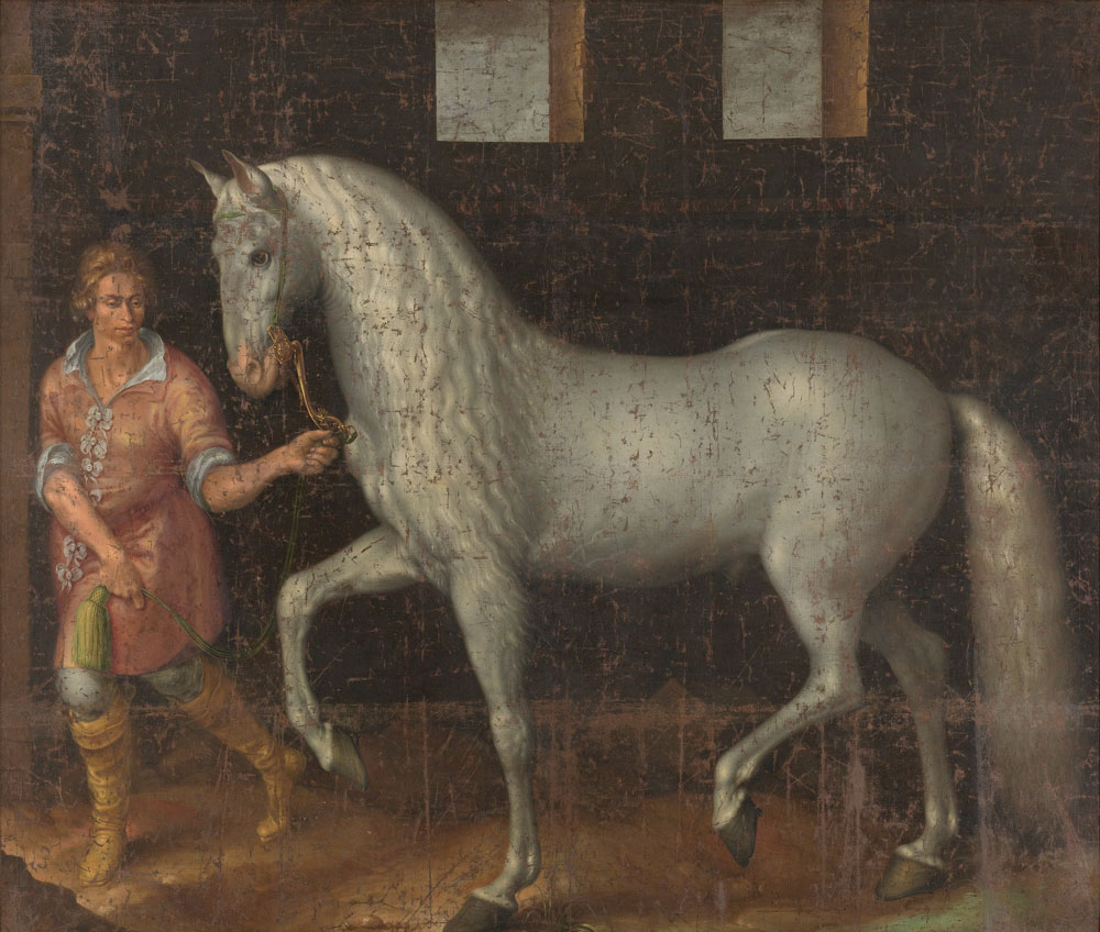 Jacob de Gheyn II - Spanish Warhorse