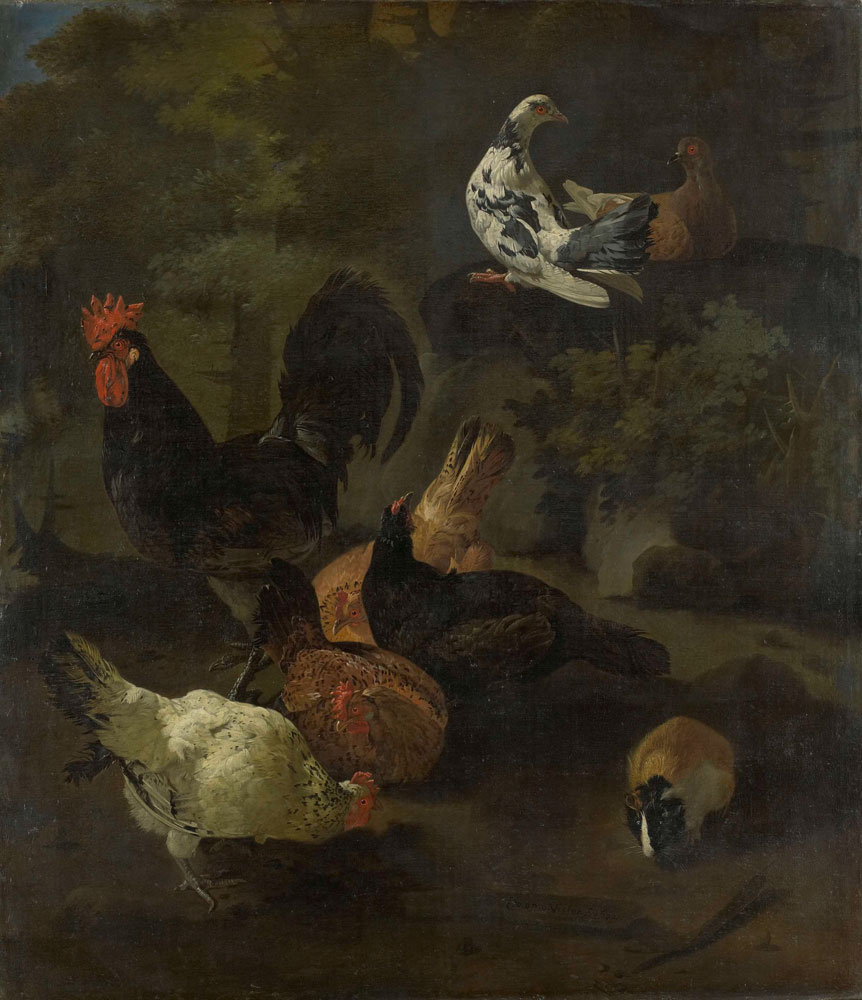 Jacomo Victors - A Cock, Hens, Doves, and a Marmot