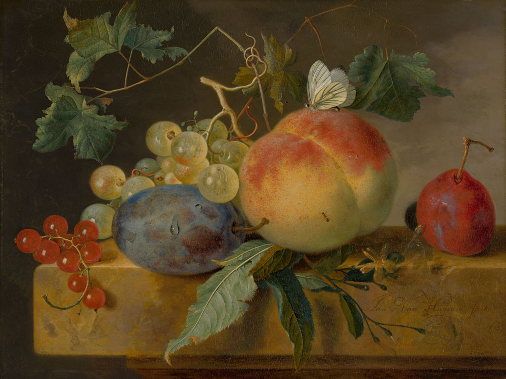 Jan van Huysum - Fruit Still Life