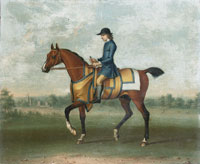 James Seymour Childers with jockey up in the livery of the Duke of Devonshire