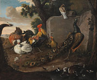 Studio of Melchior de Hondecoeter Peacocks, a cockerel, hens and ducks in a landscape