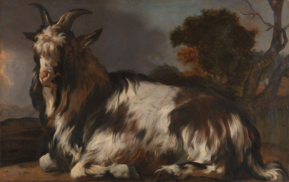 Jan Baptist Weenix - Goat Lying Down