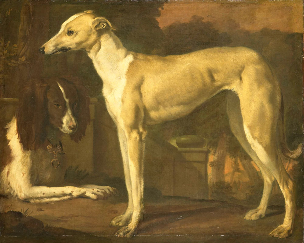Jan Weenix - Portrait of a Greyhound and Spaniel