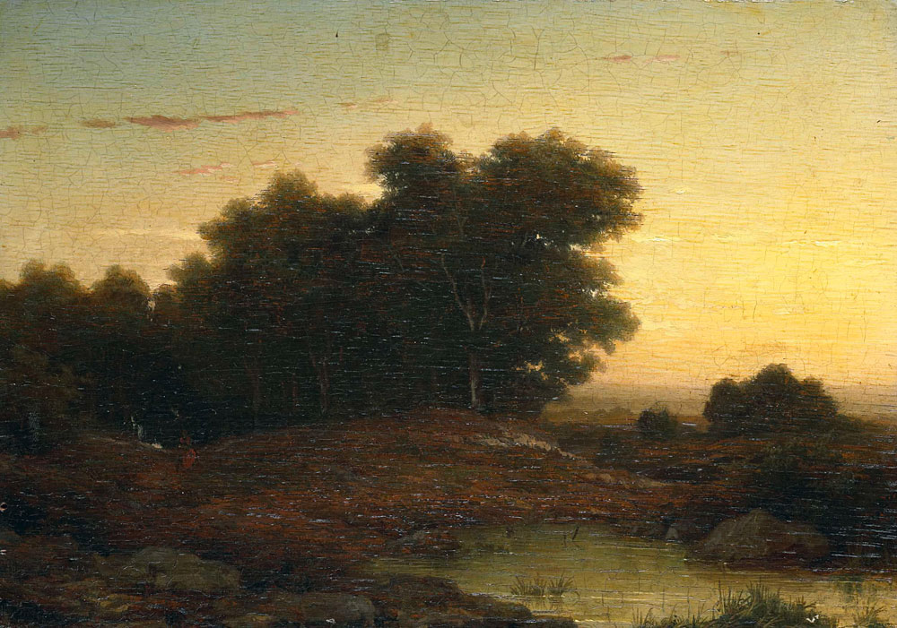 Louwrens Hanedoes - View in the Woods at Sunset