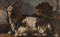 Jan Baptist Weenix Goat Lying Down
