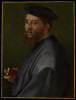 Andrea del Sarto Portrait of a Man