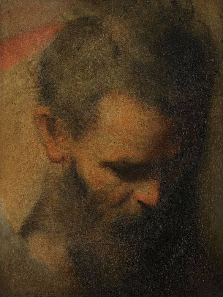 Federico Barocci - The head of a bearded man