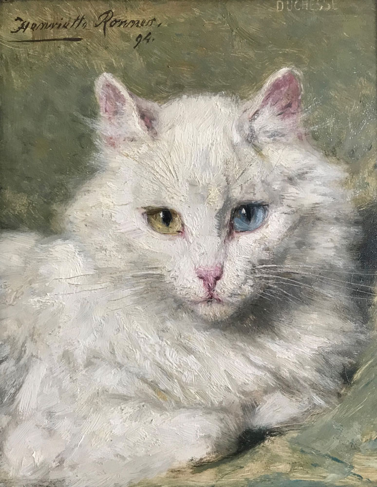 Henriette Ronner-Knip - An odd-eyed cat