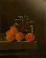Adriaen Coorte Still Life with Five Apricots