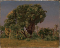 Jean-Léon Gérôme Study of Palm Trees